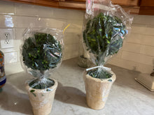 Topiaries