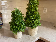 Topiaries